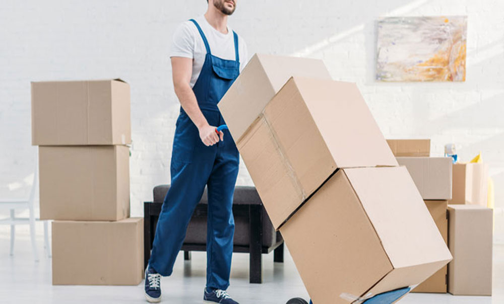 Domestic Relocation Cargo
